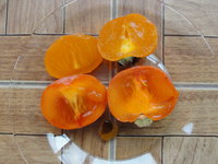 DSC05345.JPG