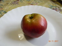 DSCN9636.JPG