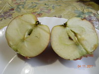 DSCN9638.JPG
