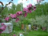 P1010629.JPG