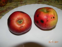 DSCN9645.JPG