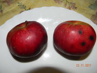 DSCN9647.JPG