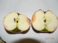 DSCN9648.JPG