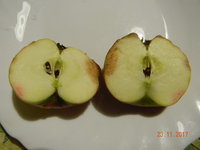 DSCN9649.JPG
