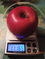 DSCN6484.JPG