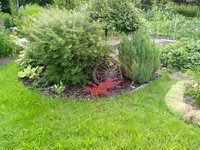 IMG_20170724_095312.jpg