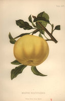 0_1416ef_cc16ed3_XXXL.jpg