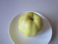 IMG_4825.JPG