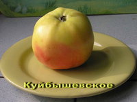 Куйбышевское (5).jpg