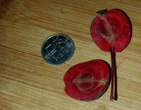 20170924_190935.jpg
