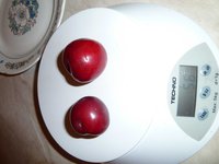P1030420_new.jpg