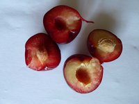 P1030435_new.jpg