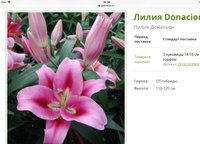 199489A8-3BCD-4A59-89DA-52028F439919.jpeg