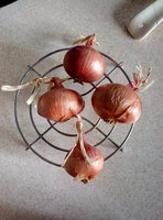 P80302-141517.jpg