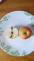 IMG_20180304_131635.jpg