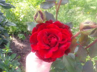 2013-08-02 17.16.17.jpg