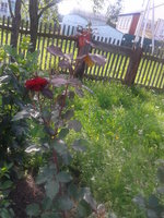 2013-08-02 17.16.23.jpg