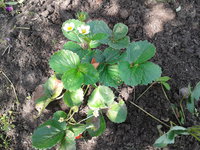 2013-08-03 13.41.36.jpg