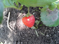 2013-08-03 13.41.43.jpg