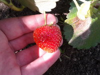 2013-08-03 13.42.05.jpg