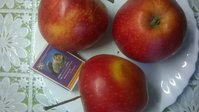 WP_20180311_001.jpg
