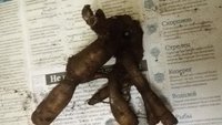 20180311_222212.jpg