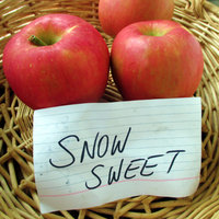 SnowSweet2.jpg