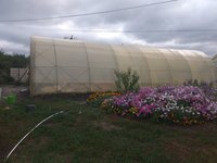 IMG_20170731_082748.jpg