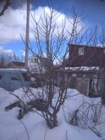 IMG_20180329_121123.jpg
