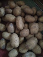 IMG_20180403_150600.jpg