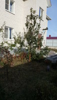 20171004_082320.jpg