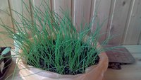 P_20180425_103737.jpg