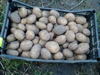 гусар 24.04.18г..jpg