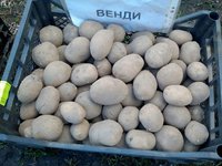 венди 26.04.18г..jpg