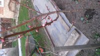 IMG-20180430-WA0011[1].jpeg