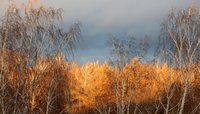 DSCN0268.jpg