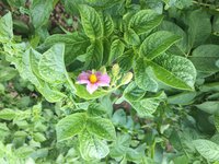 5102B38B-9766-49BA-AC67-2C0FCF439527.jpeg