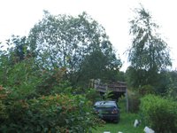 IMG_5305.JPG