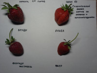 20180618_225959.jpg