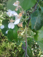 IMG_20180529_194212.jpg