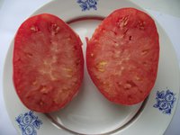 Розовый мед.jpg