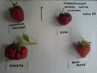 20180624_131124.jpg