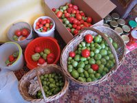 IMG_5312.JPG
