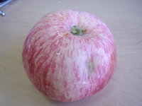 STA40826.JPG