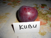 DSCN1977.JPG