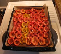 IMG_5337.JPG