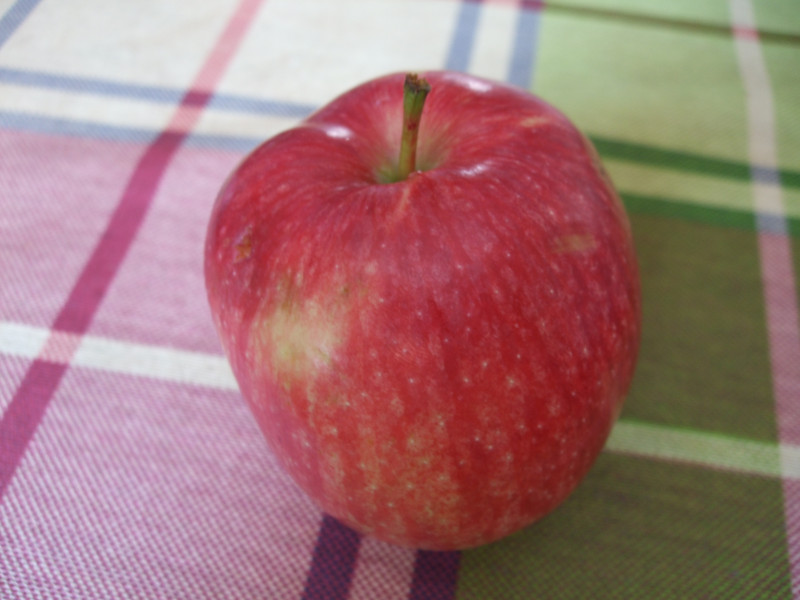 DSCF8843.JPG
