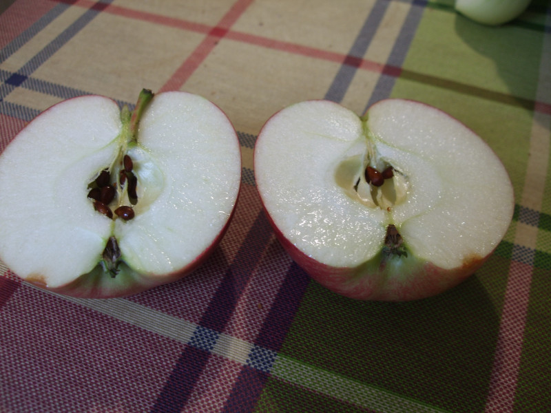 DSCF8846.JPG