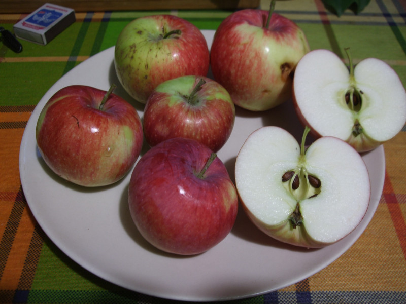 DSCF8859.JPG