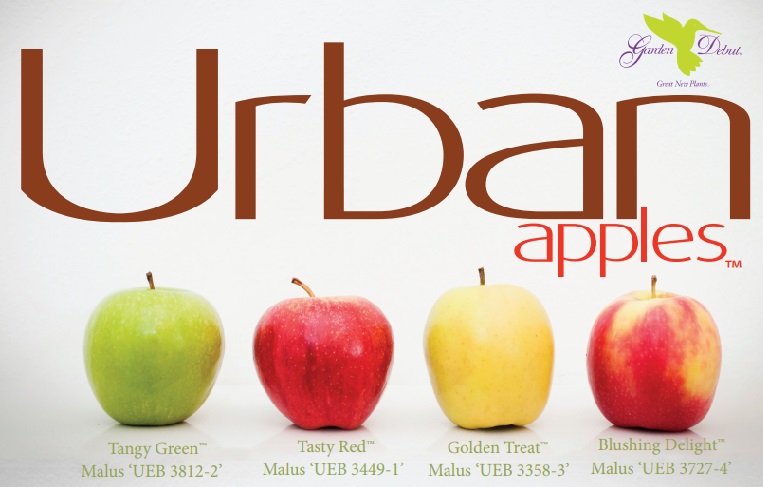 Urban_Apples.jpg